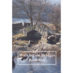 Walking on Bridges - Image 1