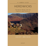 Herdwicks - Image 1