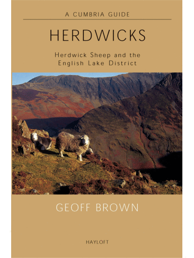 Herdwicks