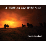 A Walk on the Wild Side - Image 1