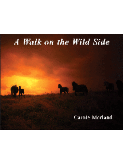 A Walk on the Wild Side